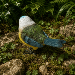 Détail du plumage bleu jaune et vert de la mésange