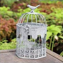 Paniers et cages LEZARD DU JARDIN