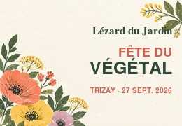 Lézard du Jardin à la Fête du Végétal de Trizay 2026